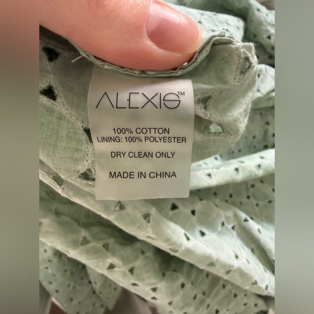 Alexis Sage Green 'Milada' Ruffled Broderie Anglaise Maxi Dress, Size Small View 2